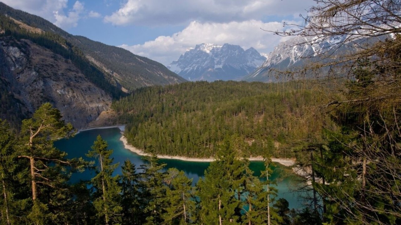 Turista sa stal hrdinom. Zachránil autobus pred pádom z kopca