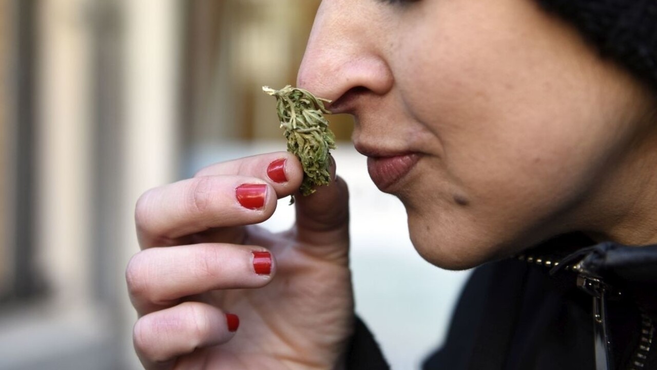 Pokuta za marihuanu? Žitňanskej rezort avizuje novú drogovú politiku