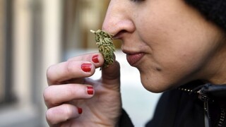 Pokuta za marihuanu? Žitňanskej rezort avizuje novú drogovú politiku