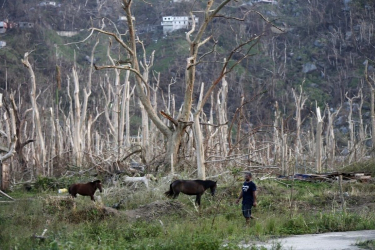 puerto-rico-hurricane-maria-74317-efa89489612e414198ea906498eb6bee_174e5ce9.jpg