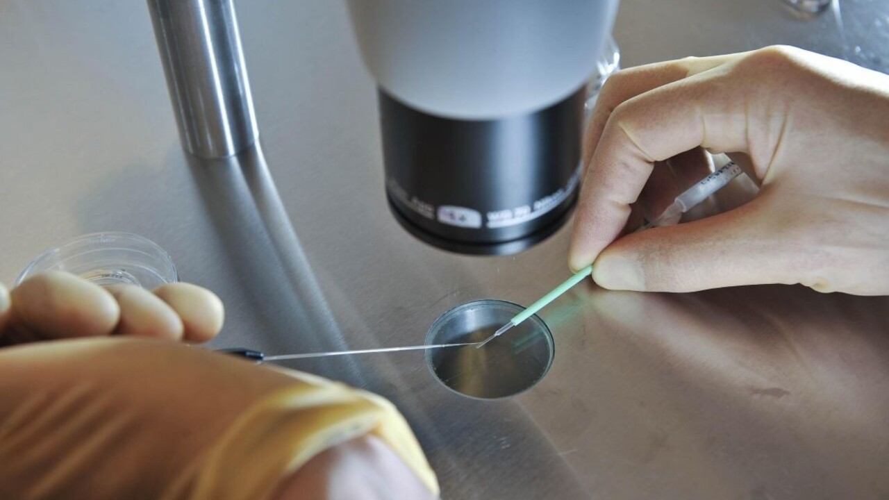 Číňania dokážu opravovať chyby v DNA, operovali embryá
