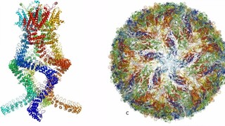 Nobelovu cenu za chémiu získalo pozorovanie biomolekúl