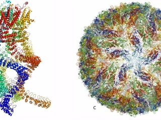 Nobelovu cenu za chémiu získalo pozorovanie biomolekúl