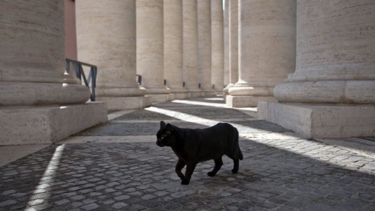 Pozor na mačky, piatky aj rebríky. Prečo veríme poverám?