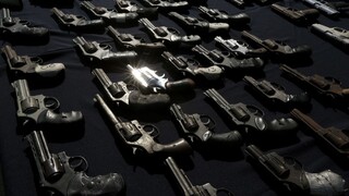 Zbraňová amnestia bola úspešná, občania odovzdali menej zbraní