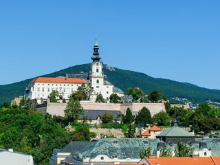 Pravica chce postaviť proti Kotlebovej dvojke jedného kandidáta
