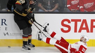 NHL: Jaroš sa tešil z výhry, Tatar sa pobil s rytierom Haulom