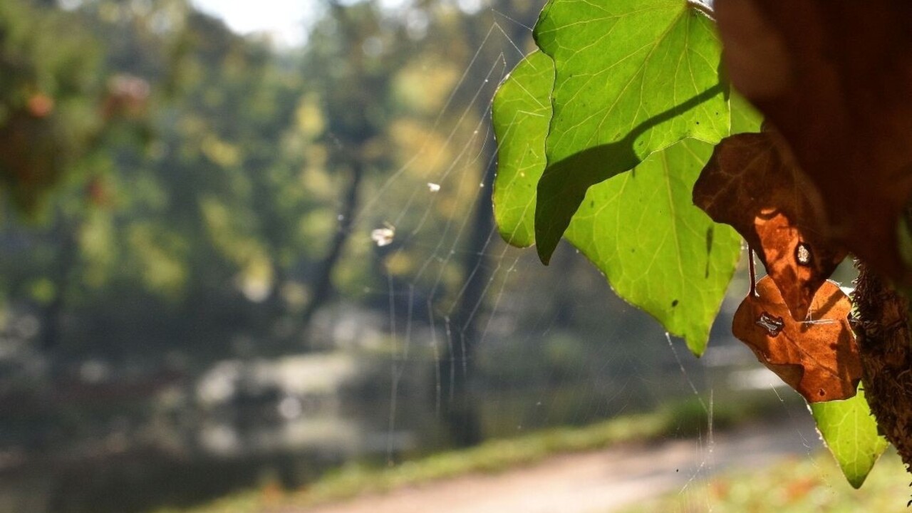 Na Slovensko sa vrátilo leto, zaznamenali teplotný rekord