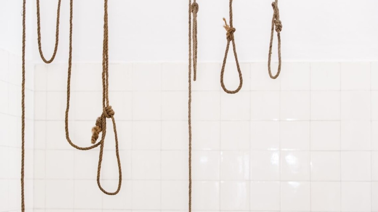 Kat sa stáva v Zimbabwe lukratívnym povolaním, práce bude veľa