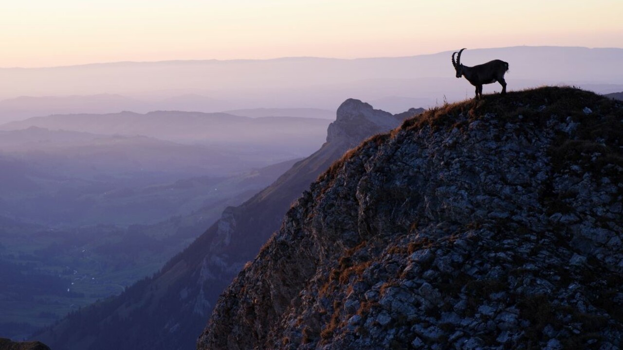Najzaujímavejšie fotografie týždňa