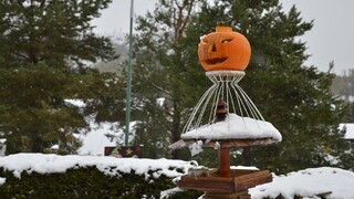 Tatranskú Štrbu prekvapila prvá tohtoročná snehová nádielka