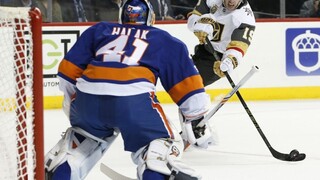 NHL: Halák si zapísal 30 úspešných zákrokov, Chára sa pobil