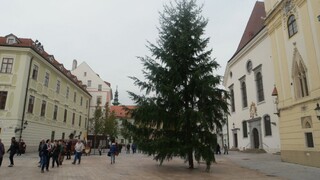 Vianoce sa blížia, v bratislavskom centre už stojí strom