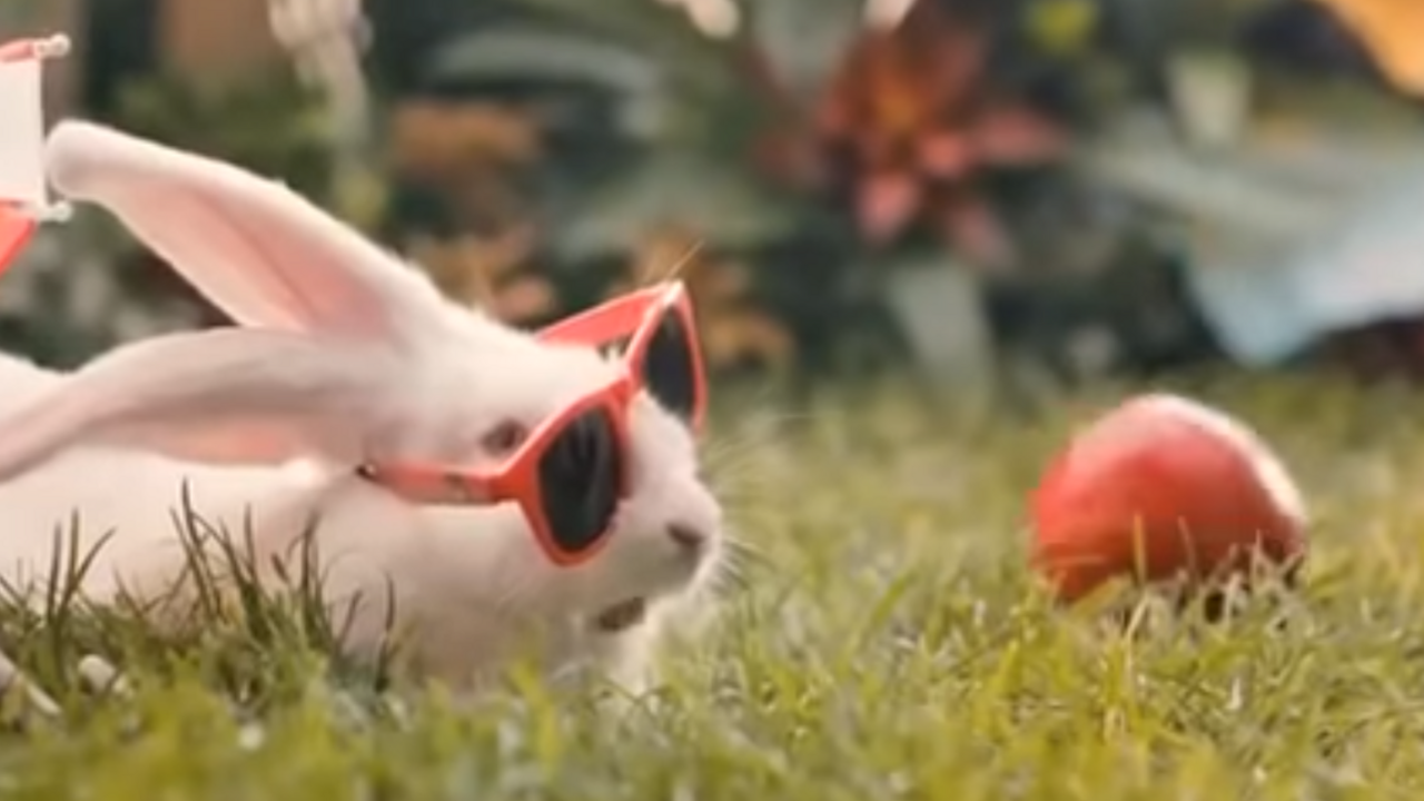 Množte sa ako králiky, vyzýva Poliakov video z dielne rezortu