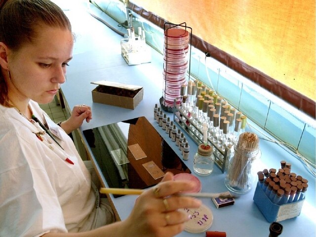 Košické laboratórium vyrába protilátky, ktoré putujú do celého sveta