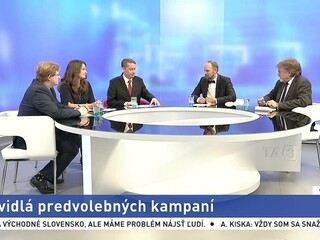 Jednokolové voľby nie sú dobrým rozhodnutím, myslí si Viskupič