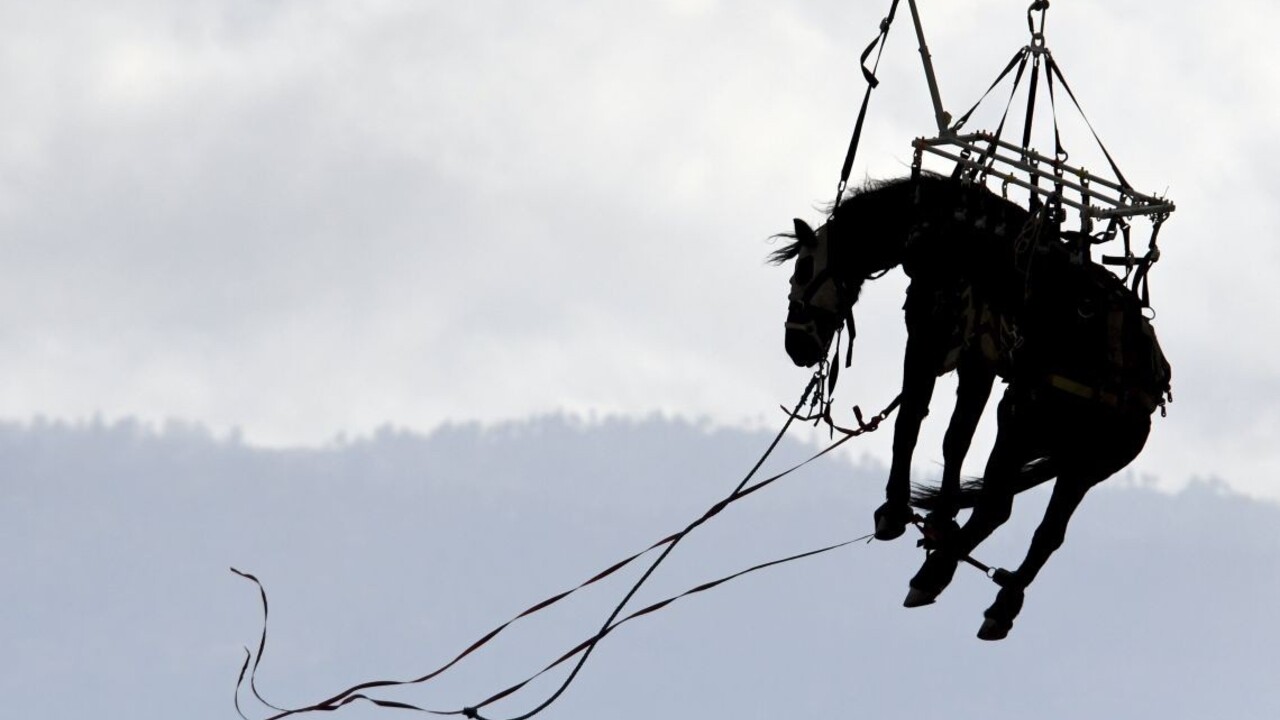 Najzaujímavejšie fotografie týždňa