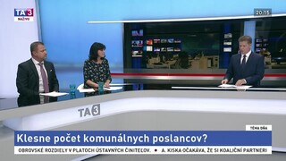 Platy ústavných činiteľov / Zákon o obecnom zriadení