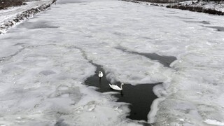Prichádzajú mrazy, SHMÚ vydal výstrahu prvého stupňa