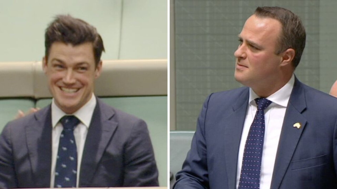 Poslanec požiadal partnera o ruku priamo v parlamente