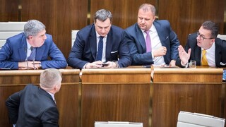 Poslanci rozhodli. Platy sa nezmrazia, od januára stúpnu o euro