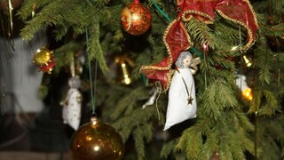 V Bratislave uskutočnili charitatívnu aukciu vianočných stromčekov