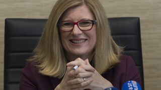 Matečnej zákon má väčšinovú podporu krajín únie