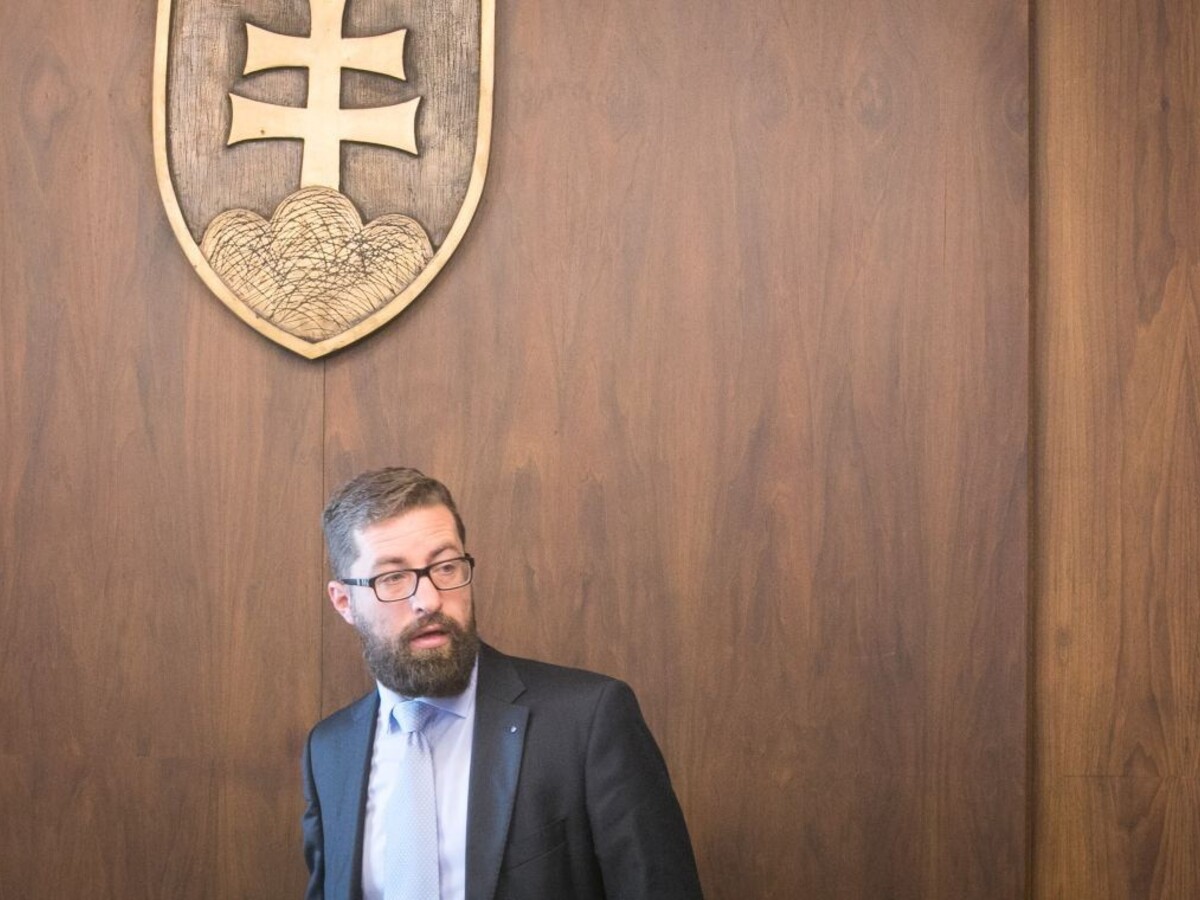 SaS našla náhradu za Poliačika, zhodli sa na ňom všetci