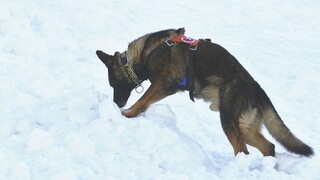 Na horách hrozia lavíny, riziko spôsobuje nový sneh