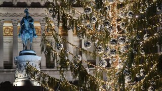 Rimanov straší škaredý a drahý vianočný strom. Volajú ho Prašivec