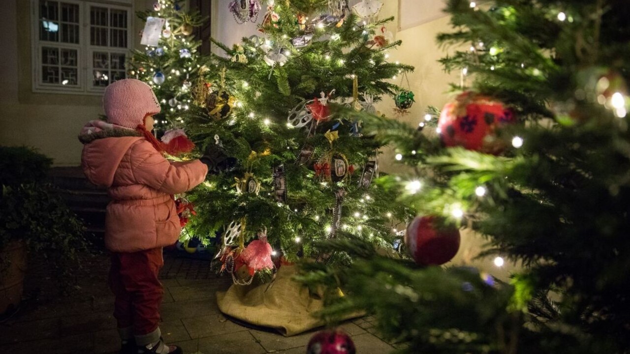 Tradícia vianočného stromčeka siaha až k druidom a ich rituálom