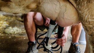 Schválený štátny rozpočet s dotáciami pre farmárov neráta