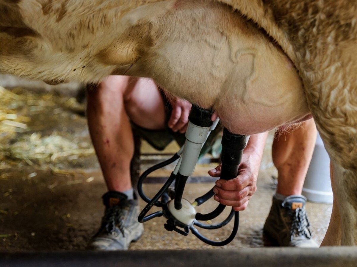 Schválený štátny rozpočet s dotáciami pre farmárov neráta