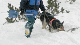 Záchranári varujú pred lavínami, v Tatrách napadol nový sneh
