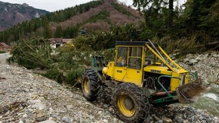 Kvôli terénnym úpravám malo v Trenčíne dôjsť k výrubu drevín. Aký postup zvolila radnica?