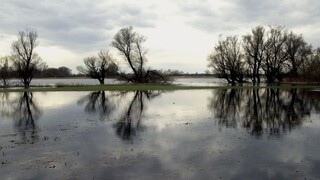 Devínu stále hrozia záplavy, pozemky sa však naďalej dobre predávajú