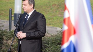 Slovensko sme posunuli, tvrdí Danko. Sulík chváli rozchod s Čechmi