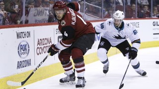 NHL: Halák inkasoval góly, Tatar s Pánikom však nebodovali