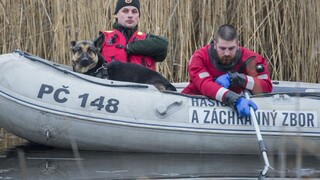 Pri Devínskom jazere našli telo, zrejme ide o nezvestnú psíčkarku