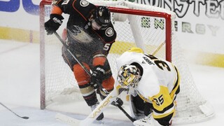 NHL: Hokejisti Bostonu zvíťazili nad Montrealom, Chára si pripísal plusový bod
