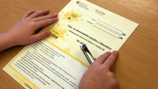 Piatakov testovali vo veľkom, ministerka informovala o výsledkoch