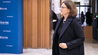 Opozícia si zahrala vabank s rodičmi aj s deťmi, vyhlásila Lubyová