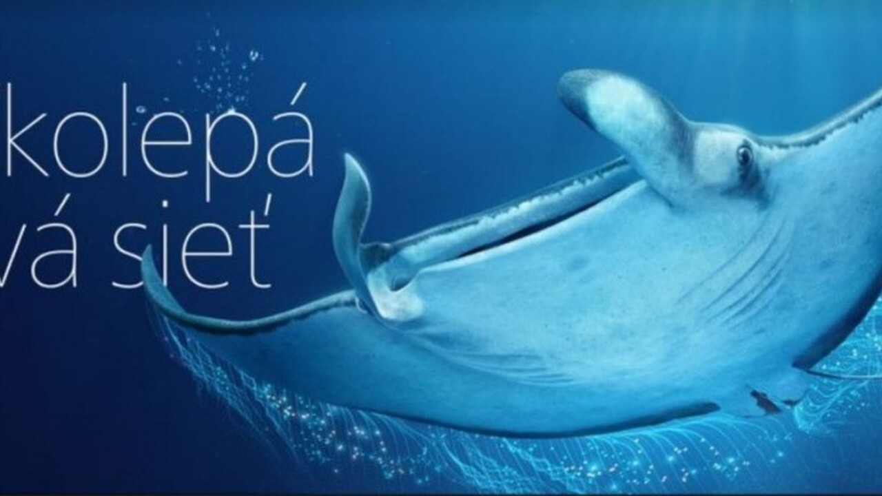 O2 potvrdzuje prvenstvo v pokrývaní 4G sieťou. Ohlasuje vyše 92 % pokrytie obyvateľstva