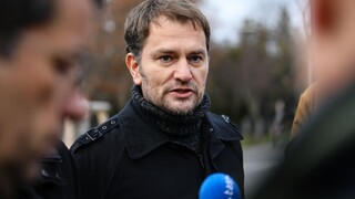 Hlina si dýku do chrbta nezaslúži, tvrdí Matovič o zmenách v KDH