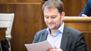 SaS a OĽaNO idú do komunálnych volieb spoločne, bez Smeru a Kotlebu