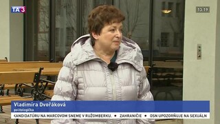 Politologička V. Dvořáková o možných predčasných voľbách v ČR