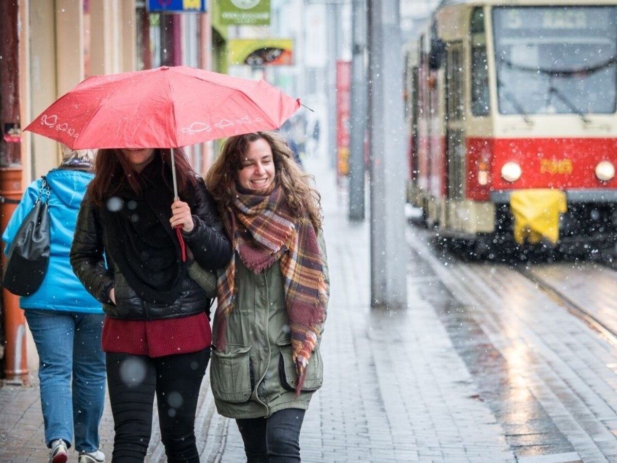 Začiatok roka bol u nás mimoriadne teplý, padol i rekord