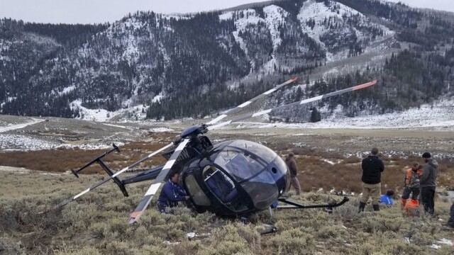 elk-crashes-helicopter-27229-515c731947d748999263c392759c6a92_7f000001-e3fa-5b70.jpg