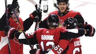 NHL: Gáborík a Tatar skórovali, Halák zastavil všetky strely súpera