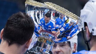 Trofej z premiérového All Star Cupu si odniesol slovenský výber